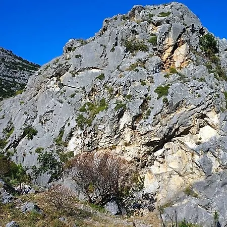 Lo Sparviero 3*
