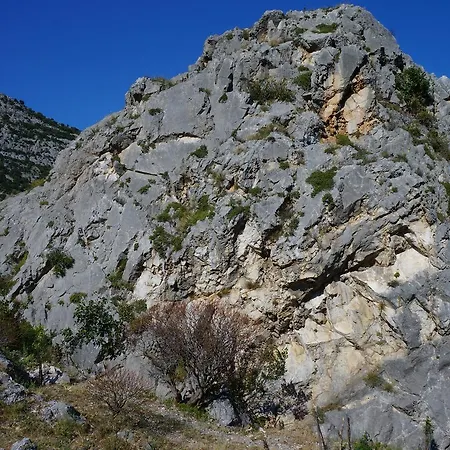 Lo Sparviero