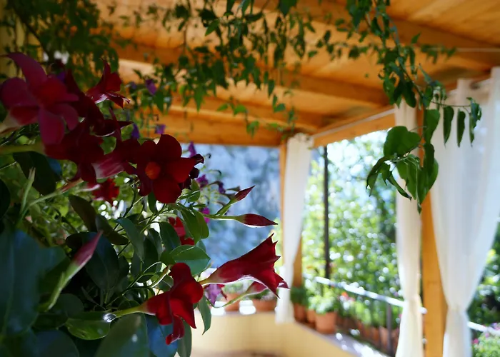 Lo Sparviero Frühstückspension Civita